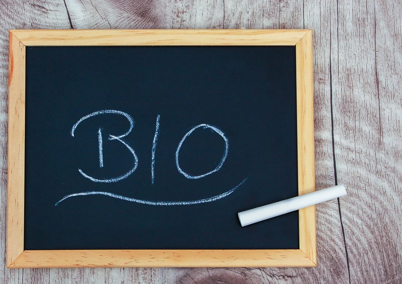 bio, board, chalk, blackboard, slate, concept, writing, write, writing board, copy space, chalk board, freelance, slate, slate, slate, slate, slate, chalk board