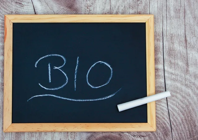bio, board, chalk, blackboard, slate, concept, writing, write, writing board, copy space, chalk board, freelance, slate, slate, slate, slate, slate, chalk board. Working out whether a creator media kit paid for itself, without inflating the evidence
