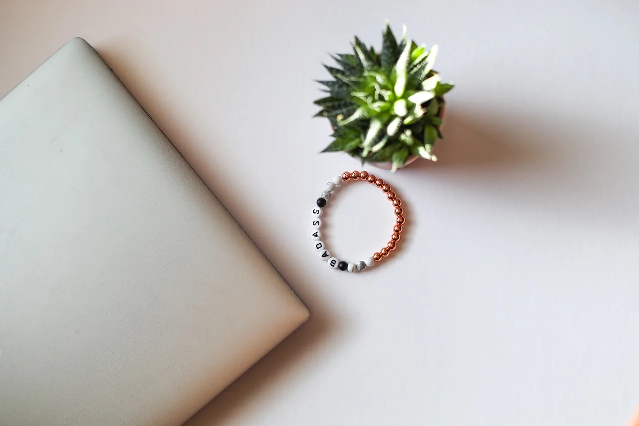 cactus, laptop, desk, working, notebook, portfolio, table, work, office, design, journal, business, technology, interior, decoration, decorative, tech, bracelet, jewelry, badass, portfolio, portfolio, portfolio, portfolio, portfolio