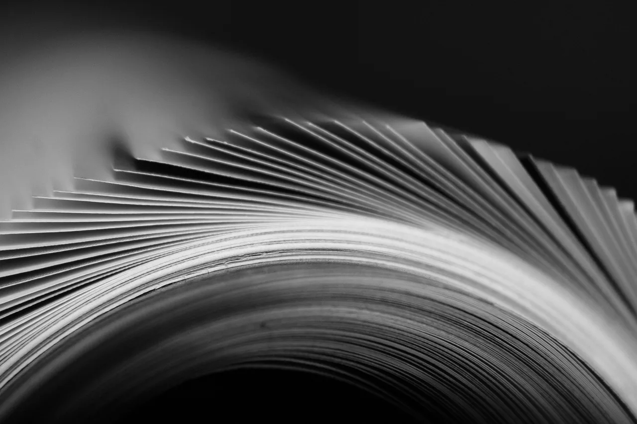 magazine, publication, pages, page, paper, print, book, information, media, business, gray business, gray book, gray books, gray paper, gray company, gray information, gray media, magazine, magazine, magazine, magazine, magazine